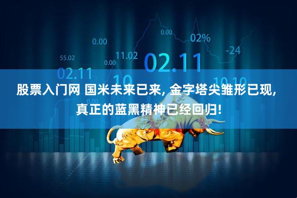 股票入门网 国米未来已来, 金字塔尖雏形已现, 真正的蓝黑精神已经回归!