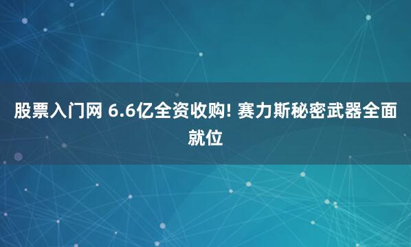 股票入门网 6.6亿全资收购! 赛力斯秘密武器全面就位