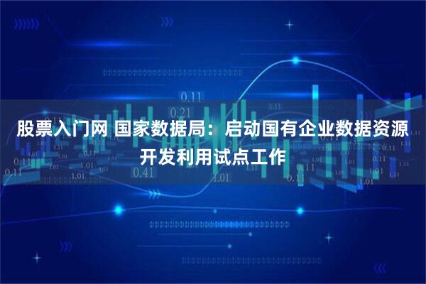 股票入门网 国家数据局：启动国有企业数据资源开发利用试点工作