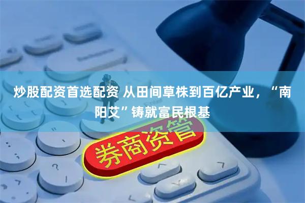 炒股配资首选配资 从田间草株到百亿产业，“南阳艾”铸就富民根基